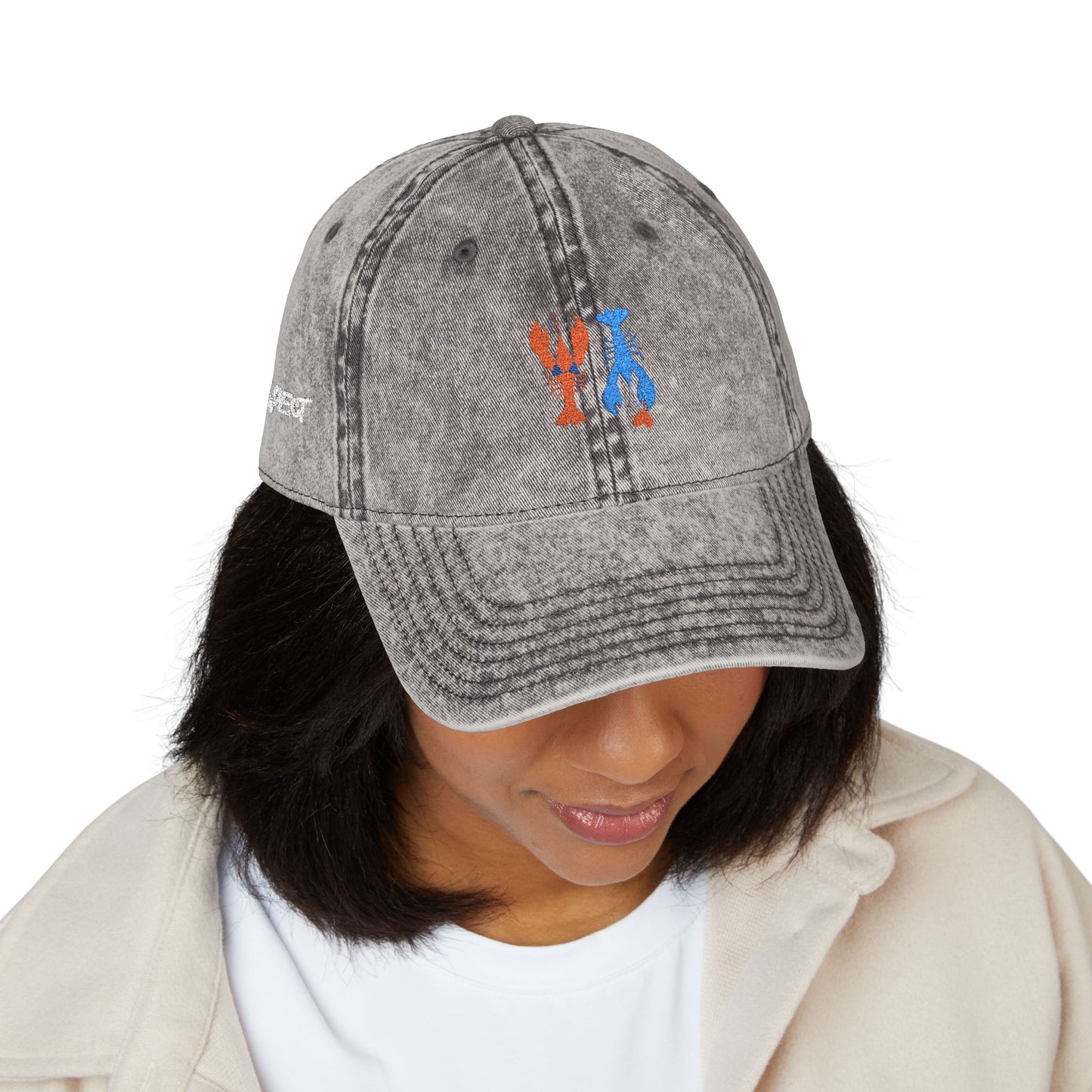 Introspect Embroidered Vintage Cap — Lobster lovers Baseball Hat