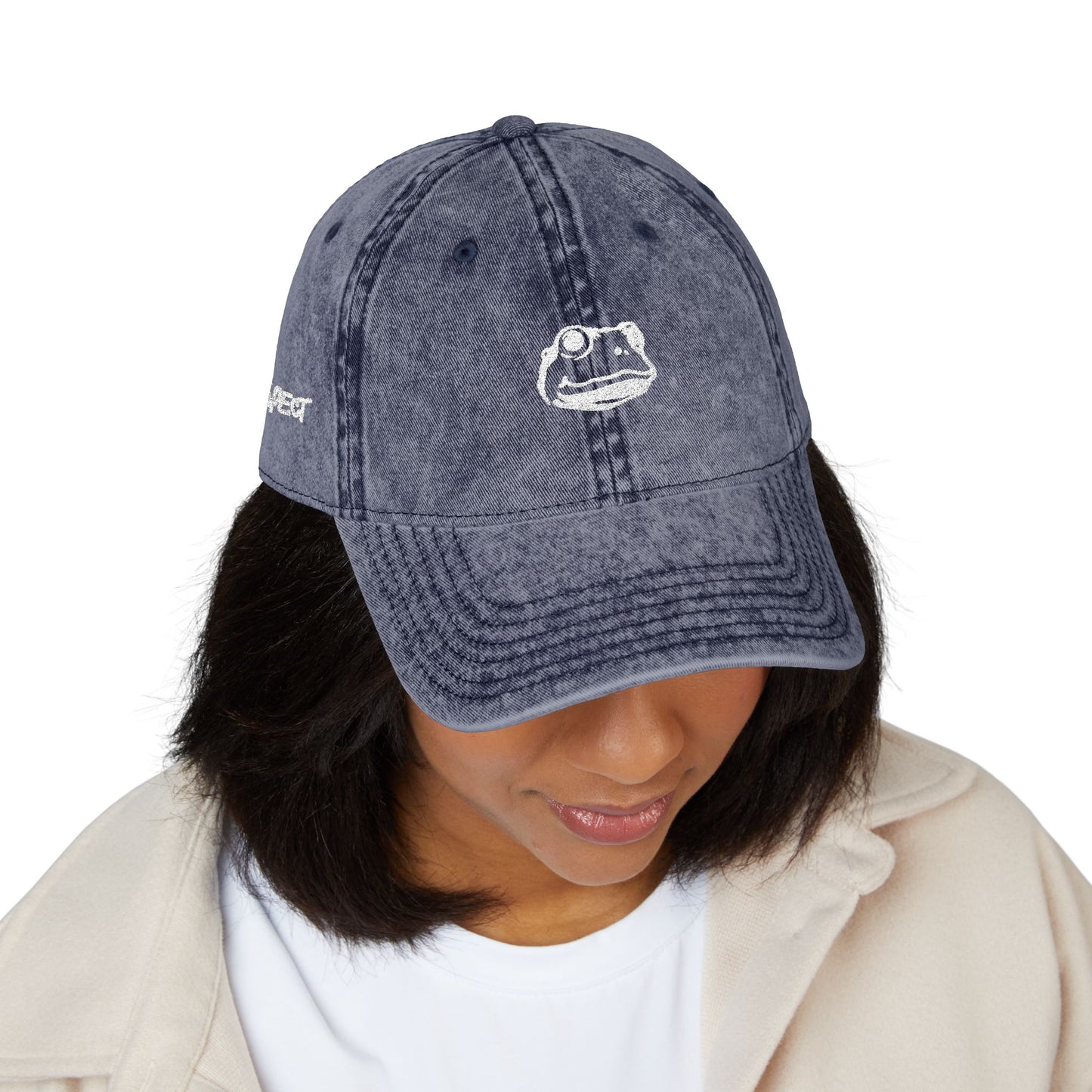 Introspect Embroidered Vintage Cap — Retro Frog Logo Baseball Hat