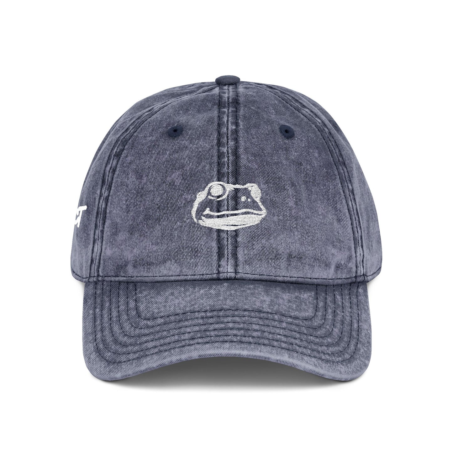 Introspect Embroidered Vintage Cap — Retro Frog Logo Baseball Hat