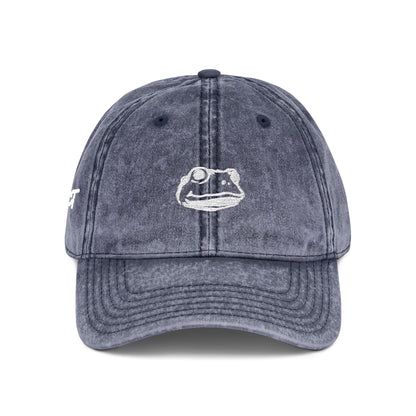 Introspect Embroidered Vintage Cap — Retro Frog Logo Baseball Hat