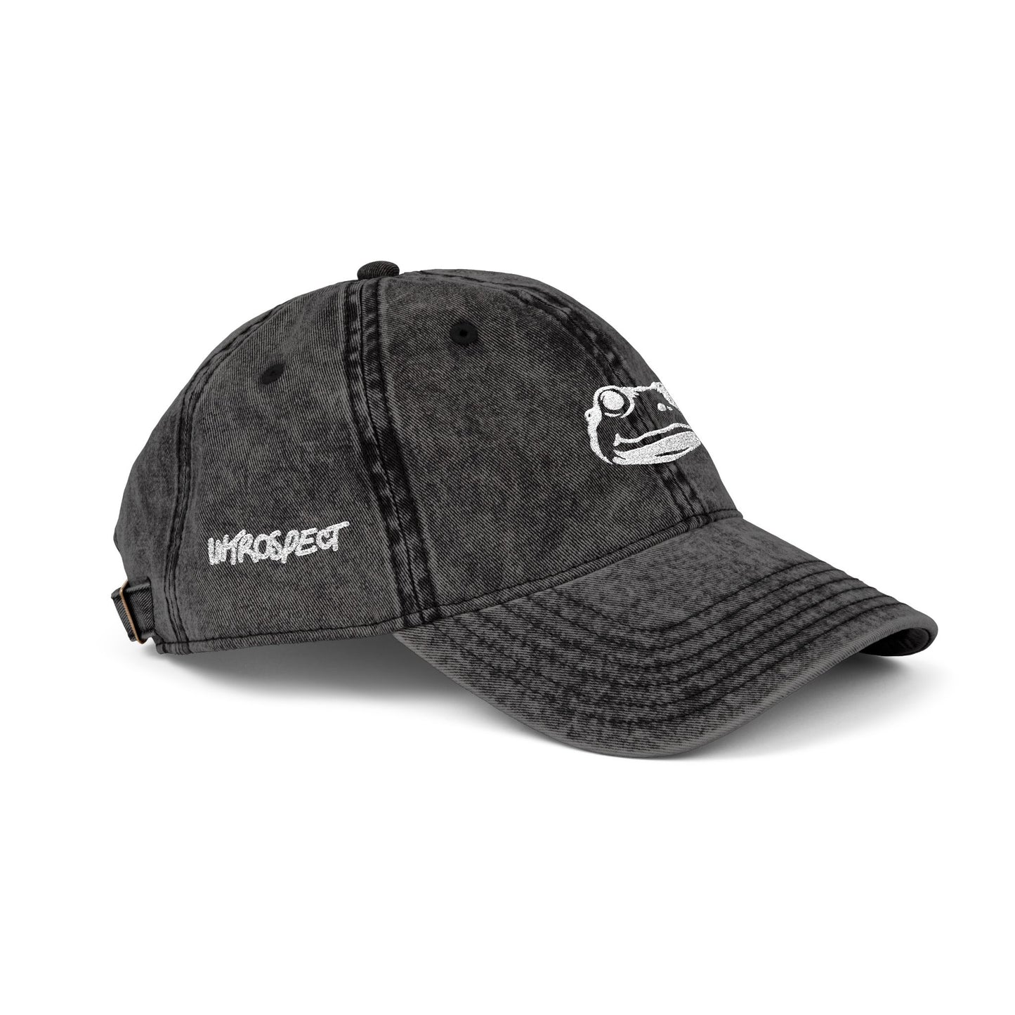 Introspect Embroidered Vintage Cap — Retro Frog Logo Baseball Hat