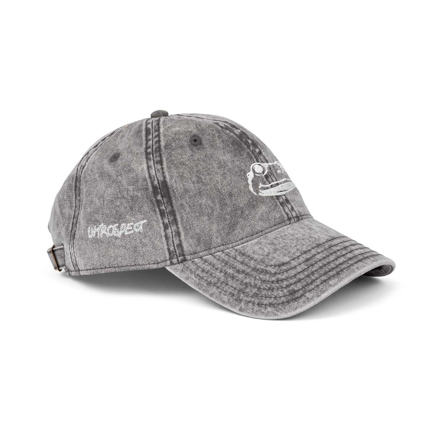 Introspect Embroidered Vintage Cap — Retro Frog Logo Baseball Hat