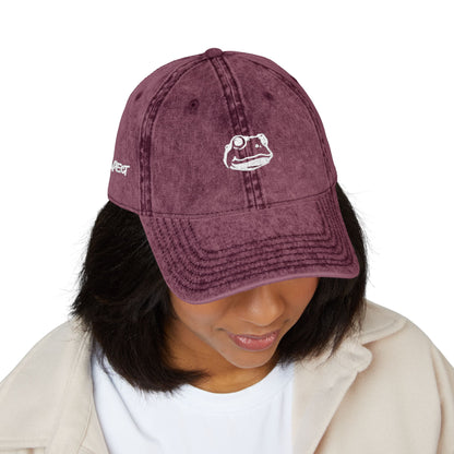 Introspect Embroidered Vintage Cap — Retro Frog Logo Baseball Hat