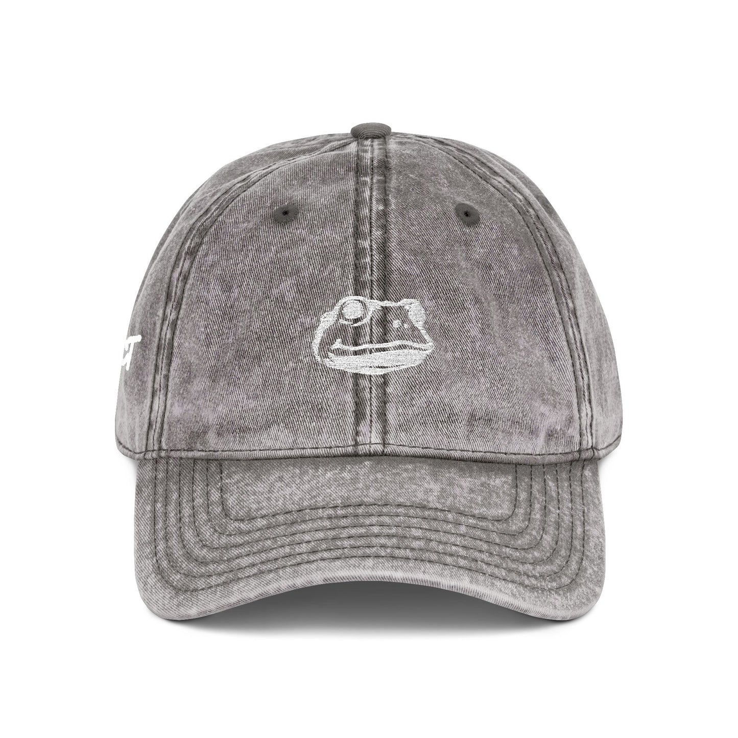 Introspect Embroidered Vintage Cap — Retro Frog Logo Baseball Hat