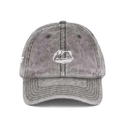 Introspect Embroidered Vintage Cap — Retro Frog Logo Baseball Hat