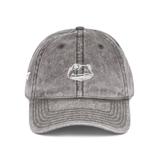 Introspect Embroidered Vintage Cap — Retro Frog Logo Baseball Hat